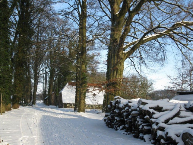 Zonneveld - 15