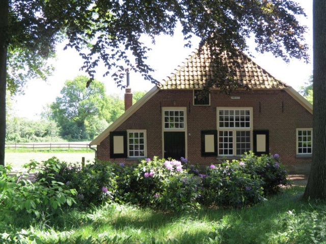Zonneveld - 1