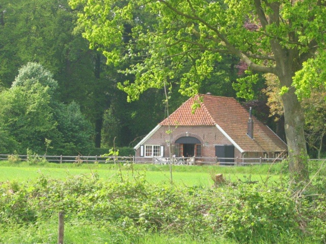 Zonneveld - 2