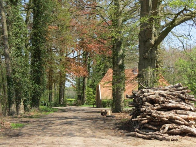 Zonneveld - 3