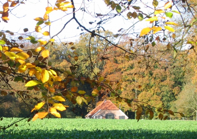 Zonneveld - 4
